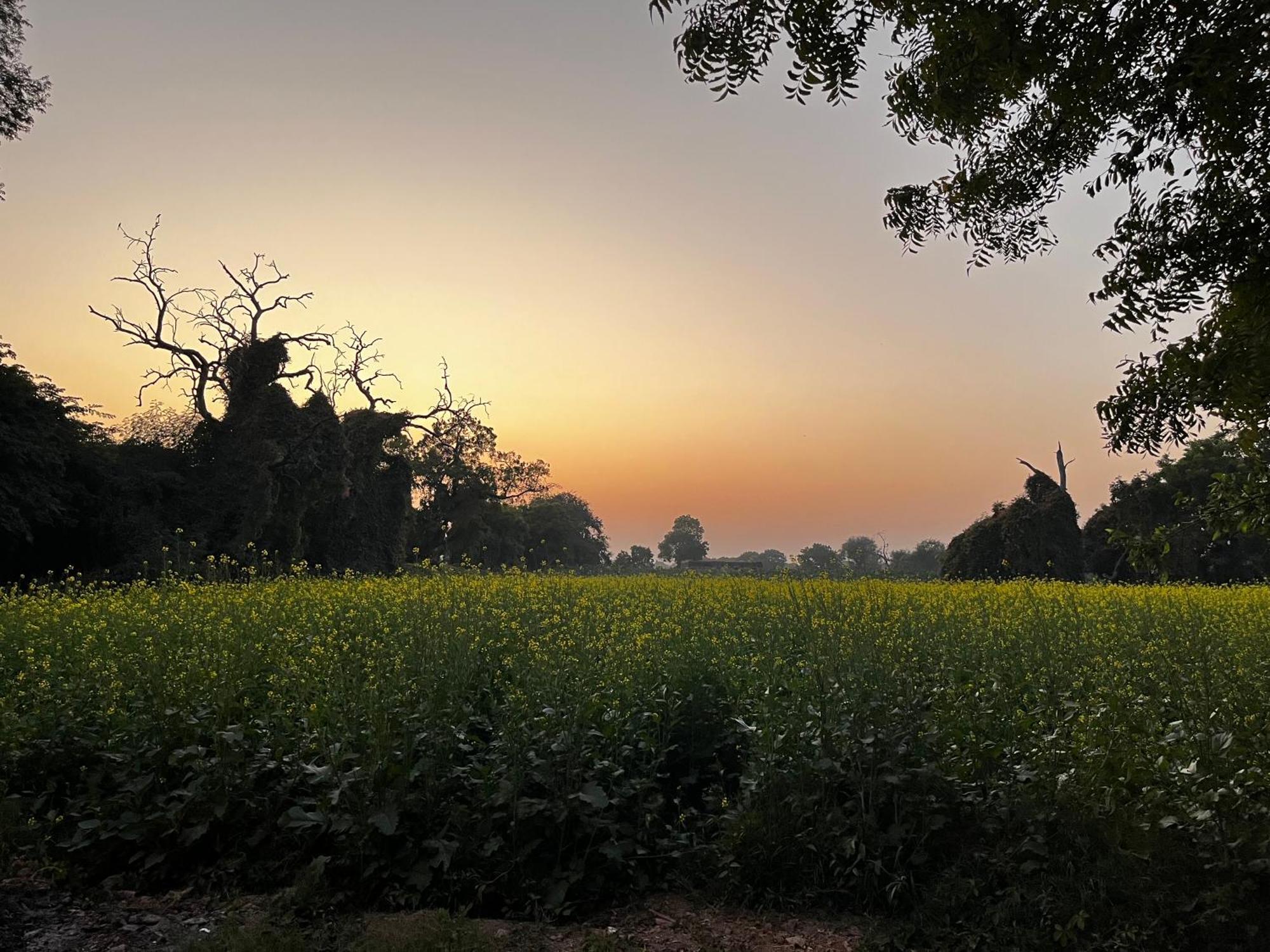 Sharad Baug Homestay Bhuj Luaran gambar