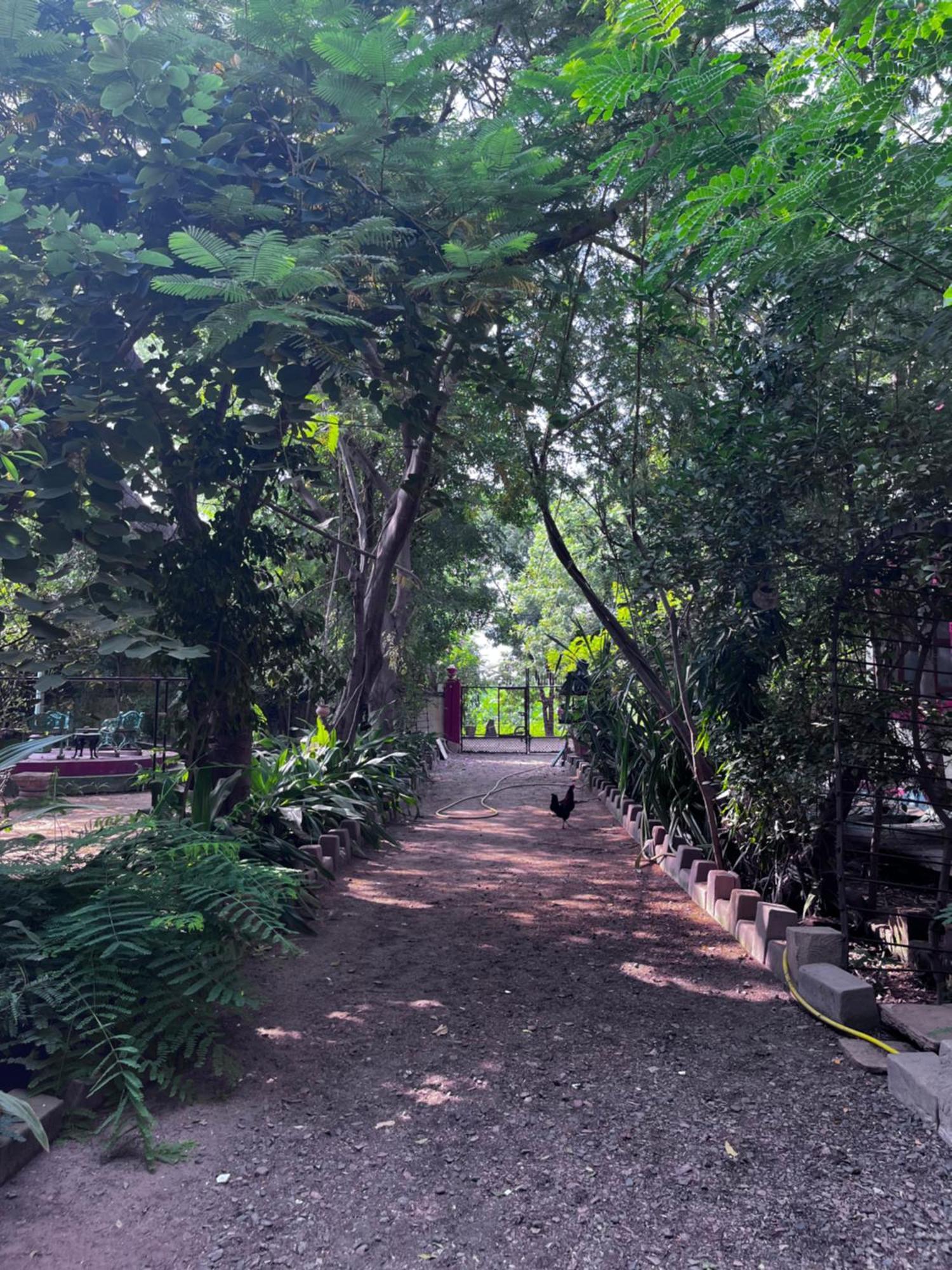 Sharad Baug Homestay Bhuj Luaran gambar